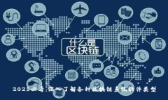 2025必看：深入了解各种区块链系统软件类型
