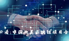 2025必看：中国北美区块链项目全面解析