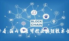 2025必看：国内自主可控区块链技术全景解析
