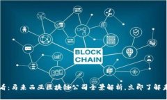 2025必看：马来西亚区块链公司全景解析，立即了
