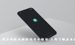 2025必看：博彦科技区块链项目全解析，立即了解