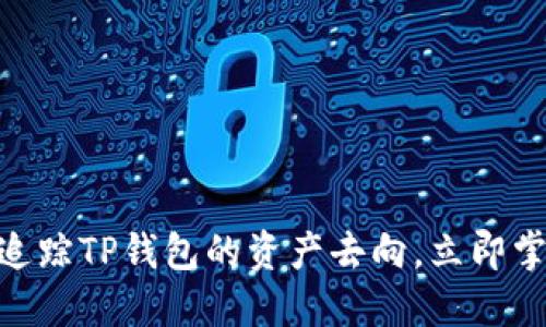 2025必看：如何追踪TP钱包的资产去向，立即掌握数字资产安全