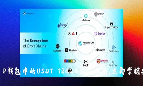 2025必看：T P钱包中的USDT TRC20交易指南，立即掌握安全投资方法