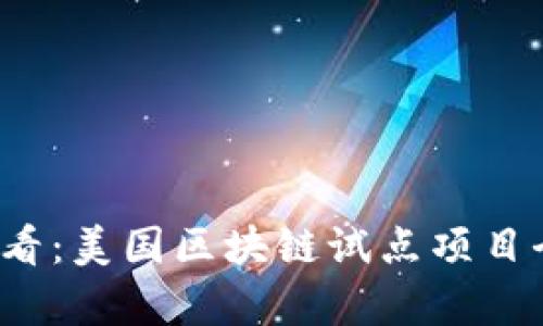 2025必看：美国区块链试点项目全景解析