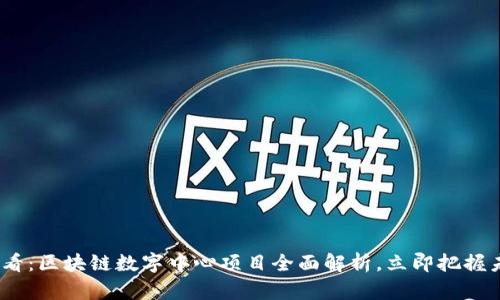 2025必看：区块链数字中心项目全面解析，立即把握未来机遇