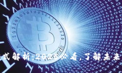 区块链的表现形式解析：2025必看，了解未来数字资产的全貌
