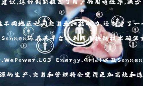 在近年来，随着区块链技术的快速发展，能源领域也逐渐开始融入这项技术，形成了多个能量区块链平台和公司。下面将为你详细介绍几家在这个领域内较为知名的公司，以及他们的业务模式、优势和未来展望。

1. Power Ledger
Power Ledger是一家源于澳大利亚的区块链技术初创公司，致力于将分布式能源与区块链技术相结合。其核心产品是一个能量交易平台，允许家庭和企业直接交易可再生能源。从而实现能源的高效利用和减少对传统电力公司的依赖。

此平台通过智能合约来管理和记录每一笔交易，确保数据透明且不可篡改。此外，Power Ledger还推出了许多创新项目，如“Peer-to-Peer”能源交易，用户可以在本地社区内自由买卖电力，这种模式小幅降低了用电成本，同时促进了可再生能源的使用。

2. WePower
WePower是一家基于区块链的绿色能源交易平台，主要用于促进可再生能源的交易。通过区块链技术，WePower允许生产商直接向消费者出售能源，这样可以减少中间的交易成本，并提高市场的透明度。

WePower还提供了一种“能源代币”的机制，使得可再生能源的交易更为便利。用户可以通过这些代币购买能源，而生产者则能够通过其销售获得相应的资金支持，从而鼓励更多的可再生能源投资。

3. LO3 Energy
LO3 Energy是一家美国公司，通过其区块链平台“TransActive Grid”提供能源管理和交易服务。该平台的特点是允许用户在本地网络内进行能源交易，尤其适合于微电网和社区能源项目。

TransActive Grid的主要优势在于它能实现实时交易和透明的结算过程，用户能够清楚地了解他们的能源使用情况以及相关费用。此外，LO3 Energy关注社会责任，致力于推动可再生能源的发展，提高用户对自身能源使用的参与度。

4. Grid  
Grid 是一家采用区块链技术的电力零售公司。它通过去中心化的电力交易，使用户能够以更低的成本获得电力。Grid 的核心理念是利用区块链来减少电力交易过程中的中介环节，从而让用户享受到更具竞争力的电价。

Grid 还推出了一种名为“Grid  Red”的智能电表，可以实时监测用户的能耗情况，并为其提供个性化的用电建议。这种创新提高了用户的用电效率，减少了浪费。

5. Sonnen
Sonnen是一家德国的可再生能源公司，专注于太阳能和储能系统。与区块链结合后，Sonnen不仅允许用户在不同地区之间交易太阳能电力，还创建了一个社区，通过共享电力来实现资源的最大化利用。

这家公司推出的“SonnenCommunity”让用户能够相互交易电力，降低了电费，并促进了可再生能源的发展。Sonnen还在其平台上利用区块链技术确保交易的安全和透明，从而赢得了用户的信任。

总结
可以说，区块链技术在能源行业的应用正在逐渐深化，各类公司也在不断探索新的商业模式。Power Ledger、WePower、LO3 Energy、Grid 以及Sonnen等公司在这一领域的创新实践，无疑为推动可再生能源的发展以及全球能源结构的转型提供了有力的支持。

未来，随着区块链技术的不断成熟，我们可以期待看到更多的能量区块链平台的涌现。通过这些创新平台，能源的生产、交易和管理将会变得更加高效和透明，用户也将享受到更多的便利。这一切都在为可再生能源的崛起和全球绿色发展的目标贡献力量。