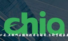 2025必看：互联网区块链技术全解析，立即掌握未