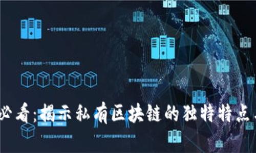 2025必看：揭示私有区块链的独特特点与优势