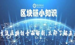 2025必看：主流区块链全面解析，立即了解未来发