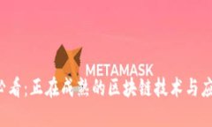 2025必看：正在成熟的区块链技术与应用一览