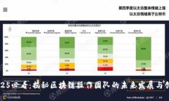 2025必看：揭秘区块链操作团队的未来发展与创新